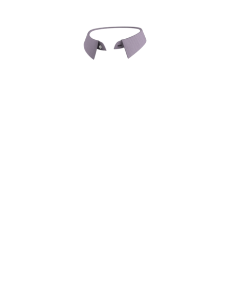 C4