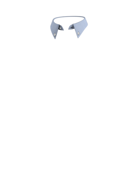 C29