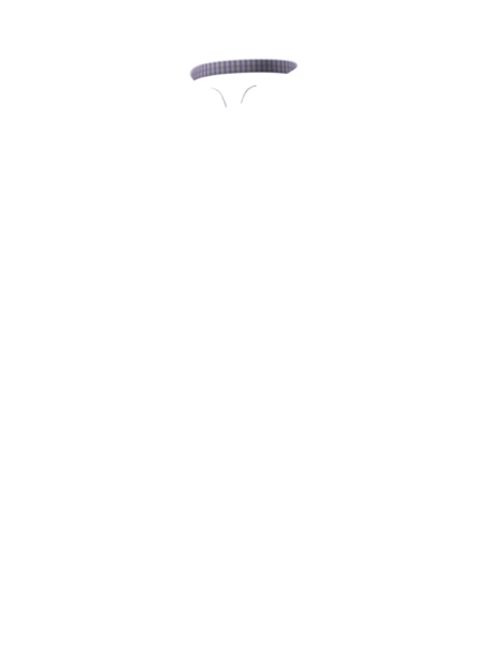N86