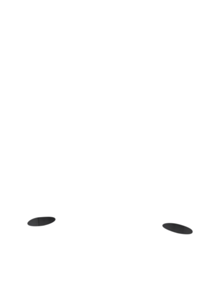 O81