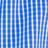 Blue_ging_sm