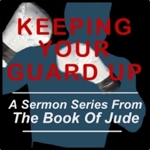Keeping_your_guard_up_square2_half