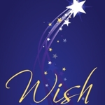 2012-01-wish-highlight_half