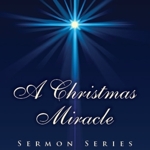 2012-11_christmas-highlight_half