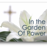In_the_garden_of_power_half