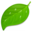 Coda 2