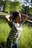Paloma_action02_72dpi_large