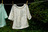 Flora_demo2_etsy