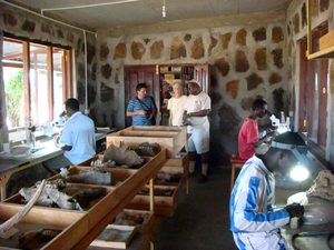 Lab at Turkana Basin Institute Lab at TBI's Turkwel research facility