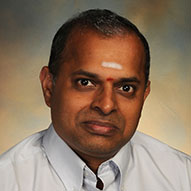 Ramanarayanan Krishnamurthy