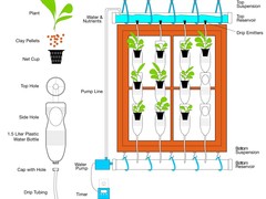 Window Farms Give Growing Power to Manhattanites