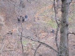Decomposed Body Found in High Bridge Park in Washington Heights