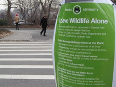 Signs Warn of Rabies Risk in Central Park