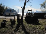 Barren Marina, Once a Den of Drugs and Garbage, Gets New Life in Inwood