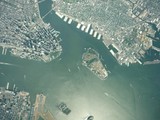 New Jersey Deer Swims Across the Hudson to Governors Island