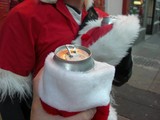 Naughty Santas Ticketed for Boozing in Washington Square Park