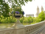 Where is Central Park's Most Romantic Spot? You Decide.