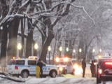 Man Killed by Falling Tree Limb in Central Park(DNAinfo/Jennifer Glickel)