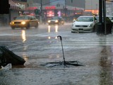 abandoned umbrella in rain storm(Flickr/MadAboutCows)