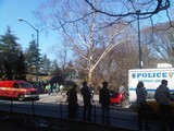 Child Falls Off His Dad's Shoulders in Central Park, Knocked Unconscious, Say Police