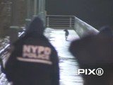 Wily Coyote on the Loose in Chelsea Gives Police the Slip(WPIX.com)