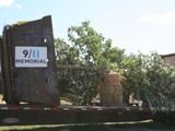 Ground Zero Welcomes 16 New Trees for 9/11 Memorial