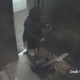 Second Dog Abuser Caught On Video in Morningside Heights(NYPD)