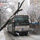 Tree Falls on Manhattan Bus(DNAinfo/Jennifer Glickel)