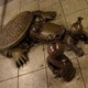 Snowstorm of 75 Years Ago Uncovered Alligator in East Harlem Sewer(Flickr/ hyperbolation)