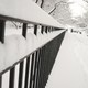 Snowy Carl Schurz Park(DNAinfo/Shayna Jacobs)
