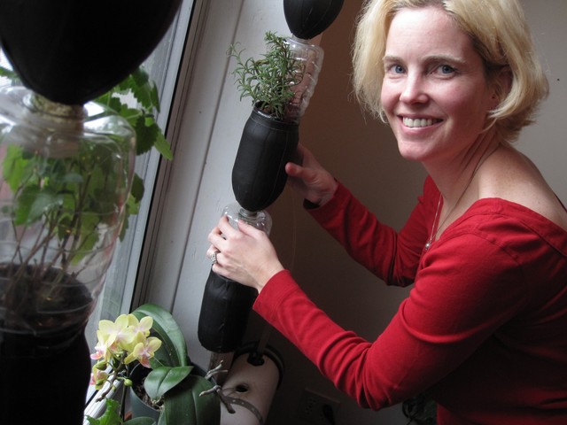 Window Farms Give Growing Power to Manhattanites