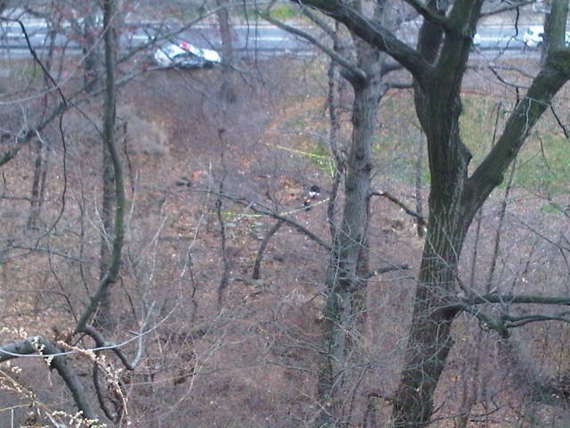 Decomposed Body Found in High Bridge Park in Washington Heights