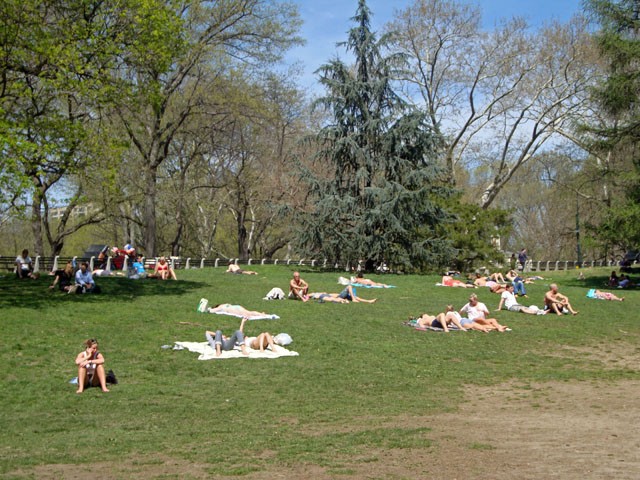 It#39;s Like Summer In New York central park new york summer. It#39;s Like Summer In New York