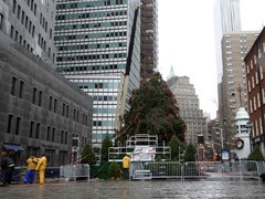 A worker starts to cut the base of the tree into pieces.