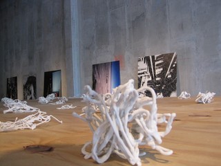 An exhibit by artist Blanka Amezkua is made of entwined pipe cleaners and encourages visitors to touch.