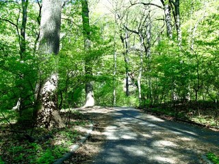 Police Step Up Security in Area Parks After Woman is Sexually Assaulted in Inwood Hill Park
