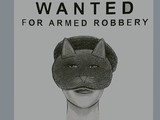 Cat Woman On the Prowl(New York Police Department)