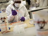 New York City lab worker extracts DNA(AP Photo/Mary Altaffer)