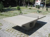 Outdoor Ping Pong on the Table for East Village's Tompkins Square Park(DNAinfo/Patrick Hedlund)
