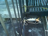 East Village Fire Caused by Electrical Wiring on Roof