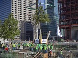 First Dirt Arrives for 9/11 Memorial Trees