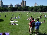 Crime Rising in Central Park(Mario Tama/Getty Images)