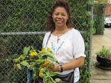 City Officials Agrees on New Rules to Protect Community Gardens