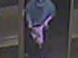 Police Hunt for Suspects in Robbery of Runway Model at City Hall Park