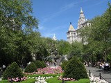 Model Robbed of Designer Handbag, Groceries in City Hall Park