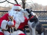 Santa Claus Visits For the First Time Since Dog Run Deb's Death