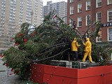 Christmas Tree Blown Down by Wind at South Street Seaport