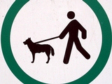 Sutton Place Dog Fight Leads to Lawsuit, Report Says