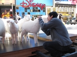 Facebook Page Boasts of Times Square Sheep-Kicking