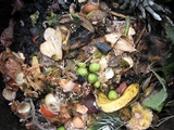 Food Scraps Wanted: City's Expanded Compost Program Launches Friday